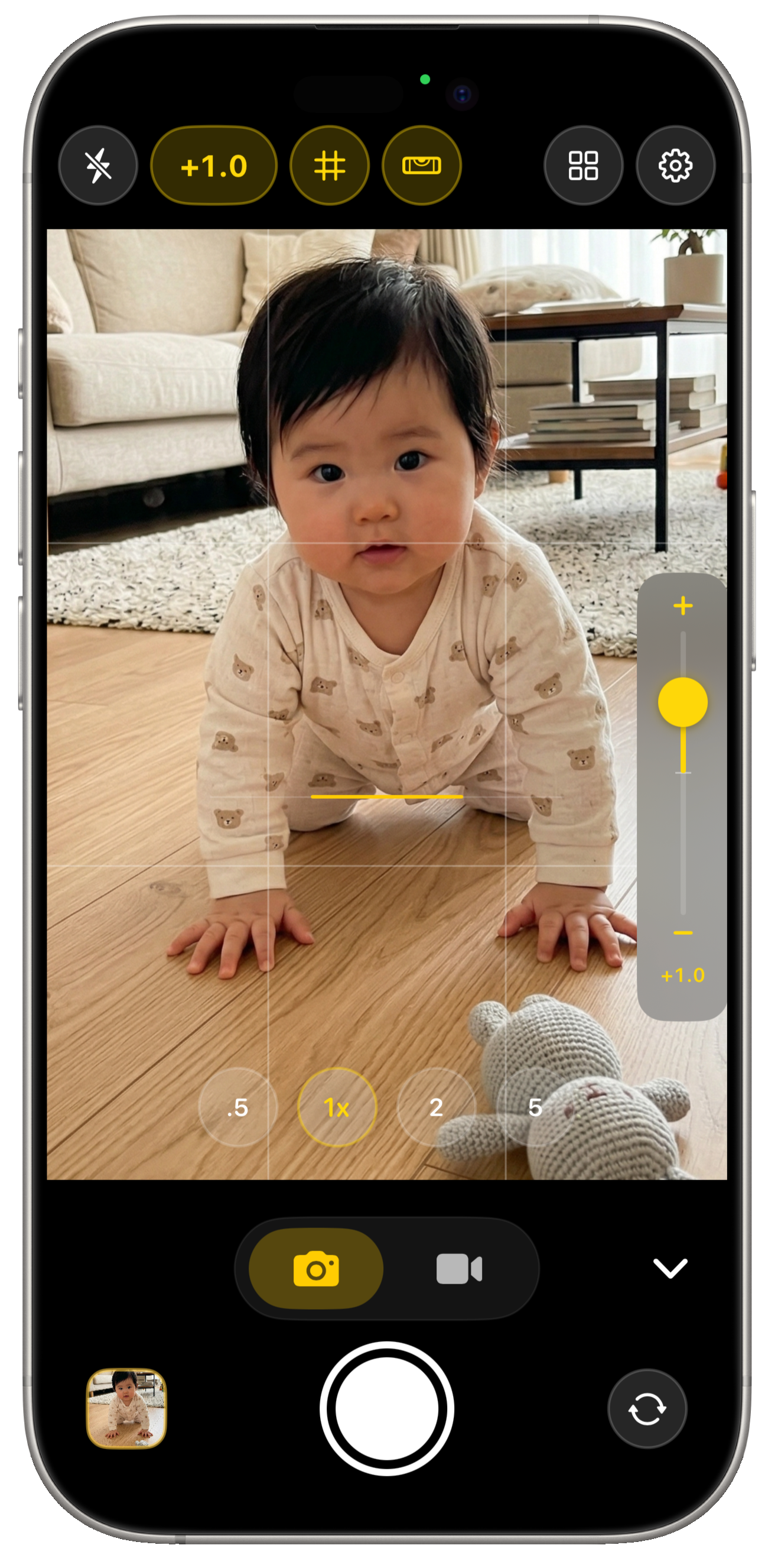 EV補正・グリッド表示